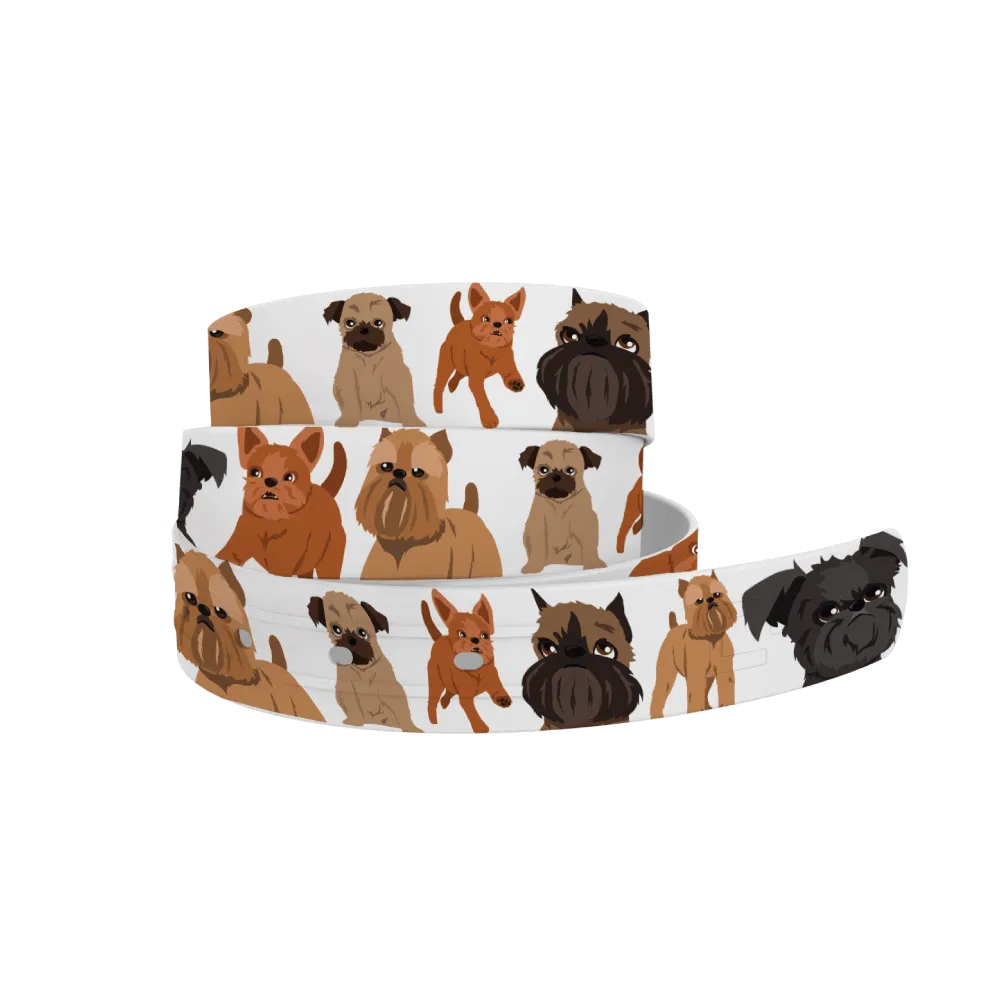 C4- Belt (Brussels Griffon)