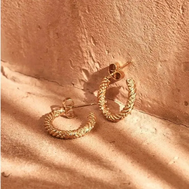 Gold Entwined Passion Hoop Earrings GEH3209