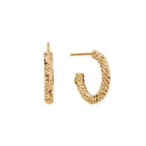 Gold Entwined Passion Hoop Earrings GEH3209
