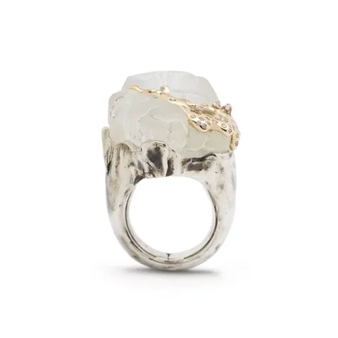 Melting Ice Cap Ring