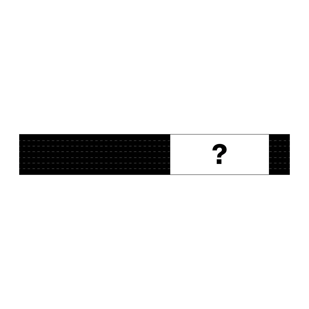 Mystery Belt